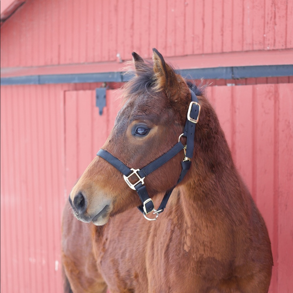 Meet your Posher, Kendra